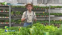 E-Garden: l'orto domestico