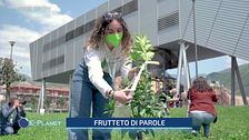 Verde Giffoni