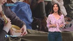 E-xtra: le migrazioni ambientali