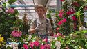 E-Garden: la dipladenia