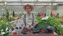 E-Garden: l'irrigazione goccia a goccia