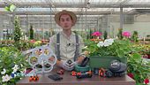 E-Garden: l'irrigazione goccia a goccia