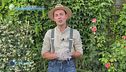 E-Garden: le piante rampicanti