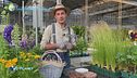 E-garden, l'importanza della pacciamatura