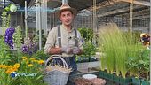 E-garden, l'importanza della pacciamatura