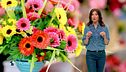 E-Xtra: La sostenibilità dei fiori a km 0
