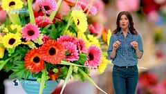 E-Xtra: La sostenibilità dei fiori a km 0