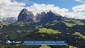 Montagna: un'estate immersi nella natura