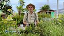 Le migliori piante repellenti per gli insetti