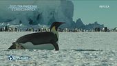 2020, tra pandemia e crisi climatica