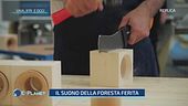Vaia, ieri e oggi