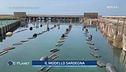 Il progetto Maristanis