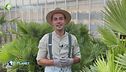 E-Garden: il giardino esotico