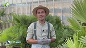 E-Garden: il giardino esotico