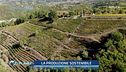 L'Oasi delle Langhe: uno degli oltre 100 progetti di tutela della biodiversità del WWF