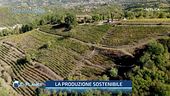 L'Oasi delle Langhe: uno degli oltre 100 progetti di tutela della biodiversità del WWF
