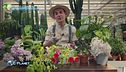 E-Garden, i preziosi consigli di Stefano Pagano