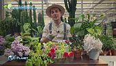 E-Garden, i preziosi consigli di Stefano Pagano
