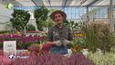 E-Garden: il balcone in autunno