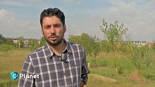 Agroforestazione urbana