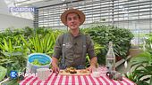 E-Garden: eco-giardinaggio con gli scarti della preparazione delle pietanze