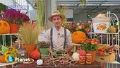 E-Garden: i must have per Halloween