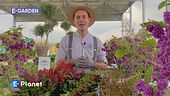 E-Garden