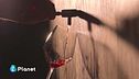 Il feromone che salva i vigneti