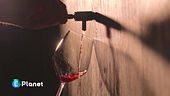 Il feromone che salva i vigneti