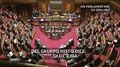 Quirinale, le dichiarazioni di un parlamentare ex grillino