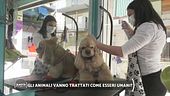 Gli animali vanno trattati come esseri umani?