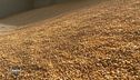 Rincari prezzi, agricoltura in crisi