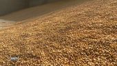 Rincari prezzi, agricoltura in crisi