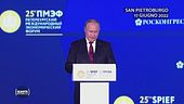 Putin: "Le sanzioni alla Russia stanno penalizzando l'Europa"