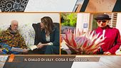 Liliana Resinovich: in collegamento Sebastiano Visintin