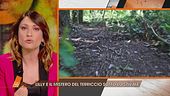 Aggiornamenti in diretta sul giallo di Lilly