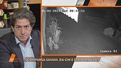 Saman Abbas: da chi è stata tradita?