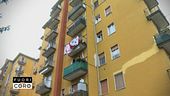 Ladri di case fuori controllo