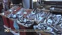 Gli effetti della guerra - Il pesce italiano sparisce dalla tavola