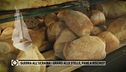 Guerra all'Ucraina-Grano alle stelle