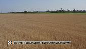 Bollette alle stelle, pane a rischio: la guerra ci entra in casa