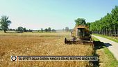 Ucraina - Il grano scarseggia, restiamo senza pasta e pane?