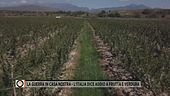 La guerra in casa nostra - L'Italia dice addio a frutta e verdura