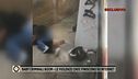Baby criminali boom - Le violenze choc finiscono su internet