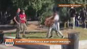 Parlano i leader delle baby gang di immigrati