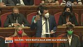 Salvini: "Dico basta alle armi all'Ucraina"