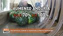 Una notte sul camion: il viaggio della frutta che rincara