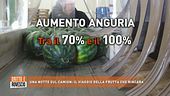 Una notte sul camion: il viaggio della frutta che rincara