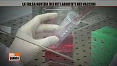La falsa notizia dei feti abortiti nei vaccini