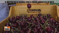 Il mistero delle ciliegie: così il prezzo aumenta di 10 volte